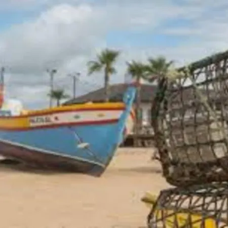Cozy Ap Renovado 1ª Linha De - Armacao Pera * Armação de Pêra